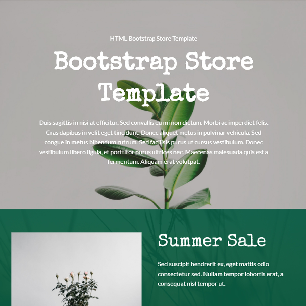 Bootstrap 4 HTML Store Template – Free Download