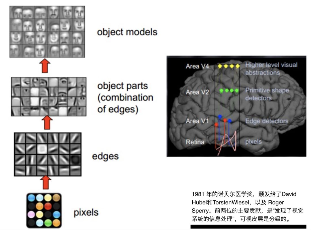 超分辨率技术:Adobe Photoshop与深度神经网络对比 - 知乎