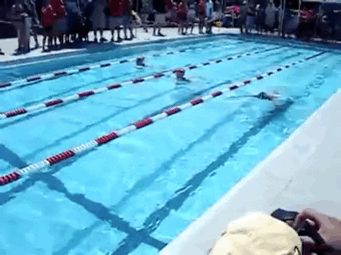 价值超百万的AI开源模型 价值超百万的AI开源模型